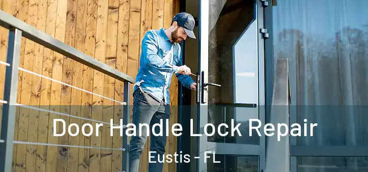 Door Handle Lock Repair Eustis - FL
