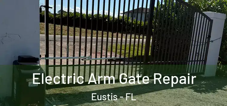 Electric Arm Gate Repair Eustis - FL