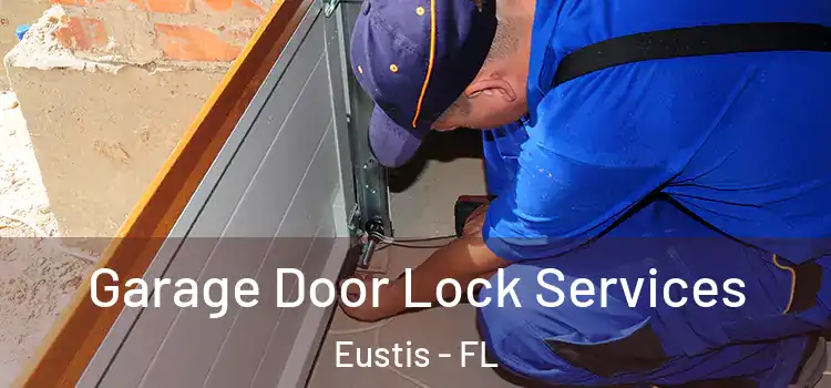 Garage Door Lock Services Eustis - FL